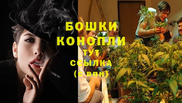 гашик Абаза