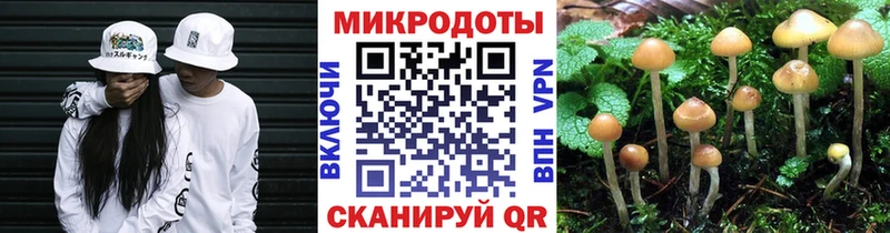 Псилоцибиновые грибы Cubensis  mega зеркало  Иваново  даркнет сайт 