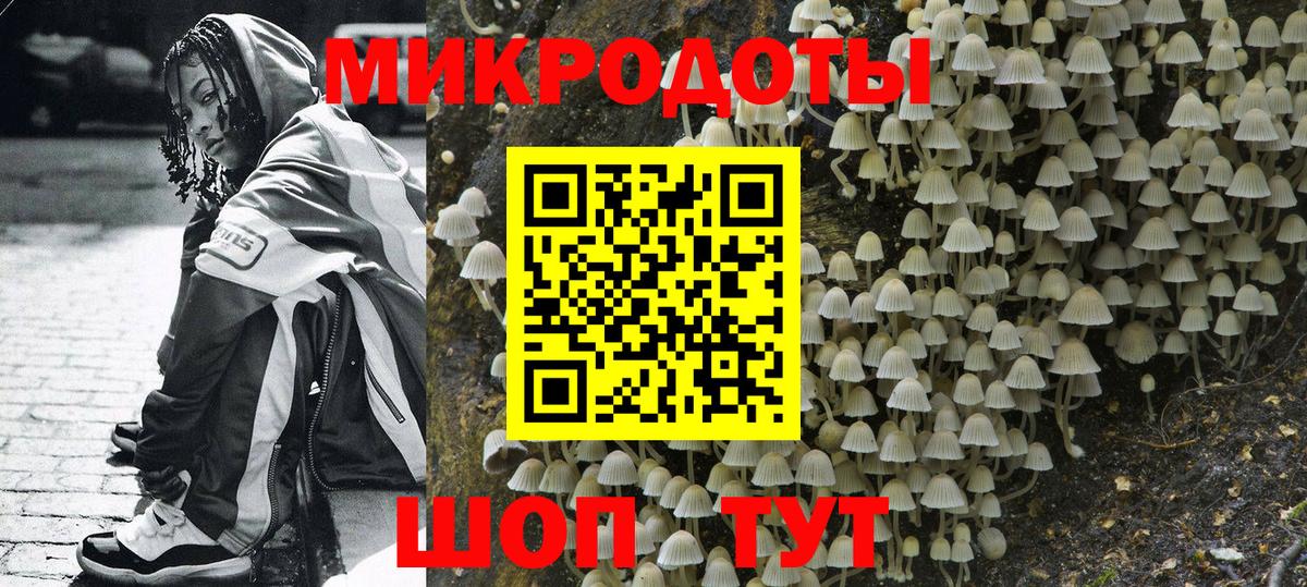 Иваново  Галлюциногенные грибы Psilocybe  Вход с VPN 