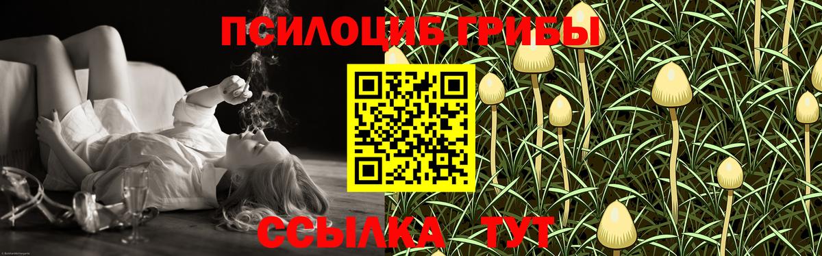 Псилоцибиновые грибы мухоморы Иваново